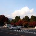 IMG_2680.JPG.thumb.