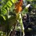 IMG_3150.JPG.thumb.