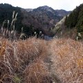 IMG_3295