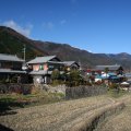 IMG_3318