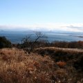 IMG_3288