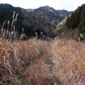 IMG_3295