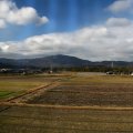 IMG_3036