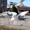 IMG_3019