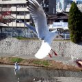 IMG_3025