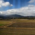 IMG_3036