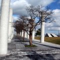 IMG_2844