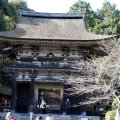 IMG_2782