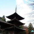 IMG_2798