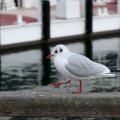 IMG_2857