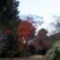 IMG_2834.JPG.thumb.
