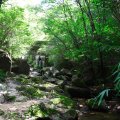 IMG_6041