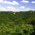 IMG_6063