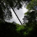 IMG_6076