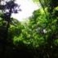 IMG_6012.JPG.thumb.