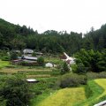IMG_0578