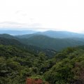 IMG_0582