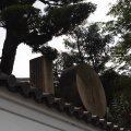 Den-Den_060730_15