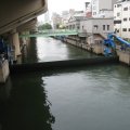IMG_0131