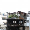 IMG_0251