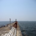 IMG_0290