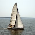IMG_0295