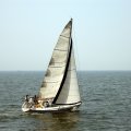 IMG_0296