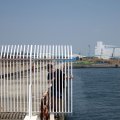 IMG_0306