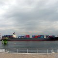 IMG_0353