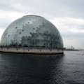 IMG_0355