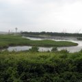 IMG_0375
