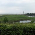 IMG_0377p