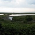 IMG_0381p