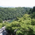 IMG_0443p