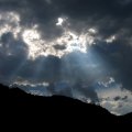 IMG_0456