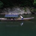 IMG_5941