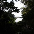 IMG_5969