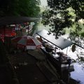 IMG_5971