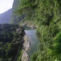 IMG_5981