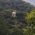IMG_5987
