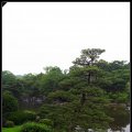 Expo_park-Japan_garden_2006-07-23_05 copy