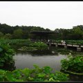 Expo_park-Japan_garden_2006-07-23_33 copy