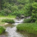 IMG_0179