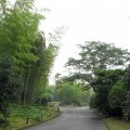 IMG_0180