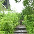 IMG_0186