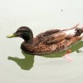 IMG_0195