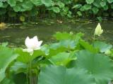 IMG_0197.JPG.thumb.