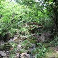 IMG_0078
