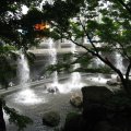 IMG_0083