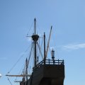 IMG_0229